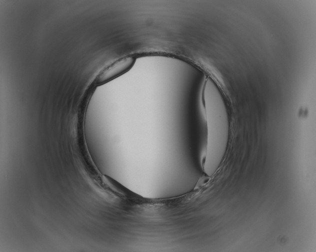 X0000094430108200712061123