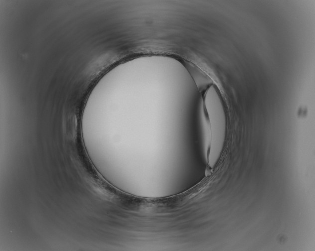 X0000094430109200712061123