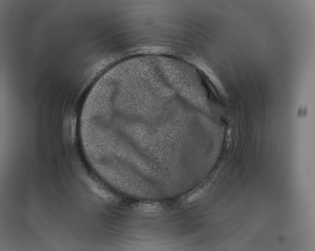 X0000094430110200712061123