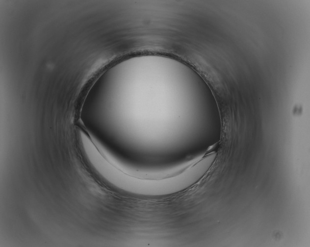 X0000094430112200712061123