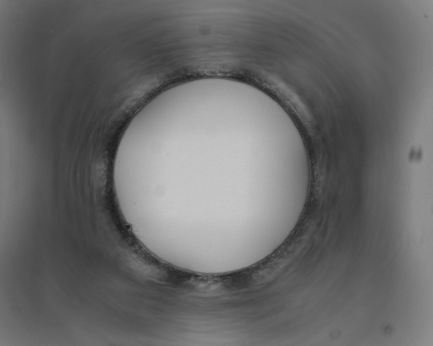 X0000094430113200712061123