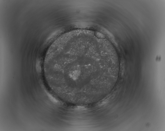 X0000094430114200712061123