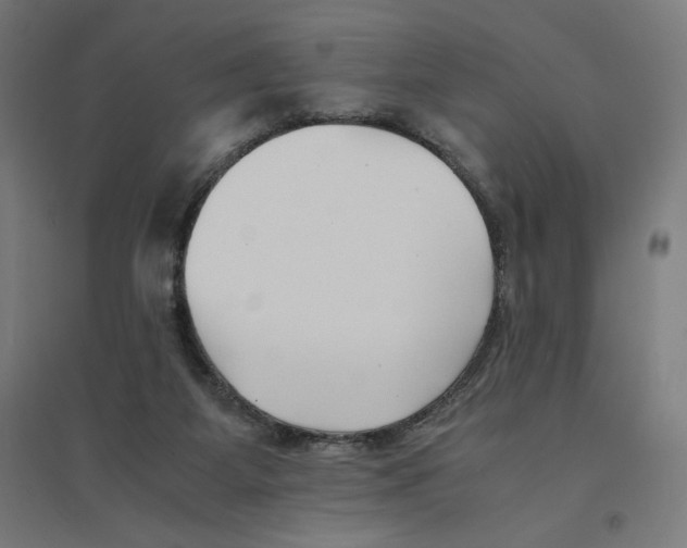 X0000094430115200712061123