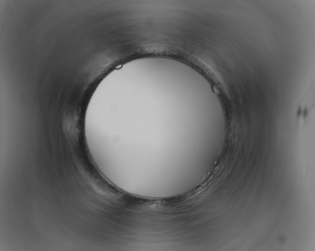 X0000094430116200712061123