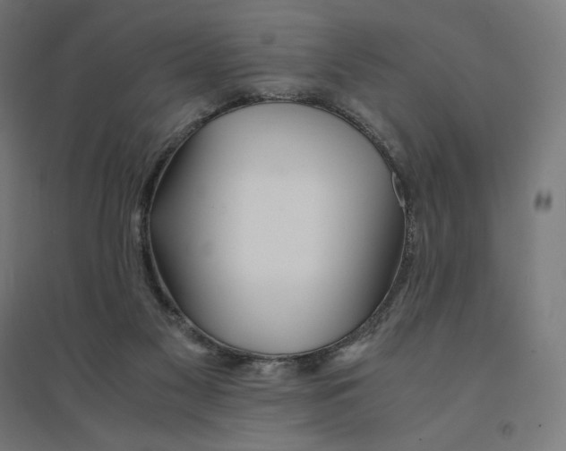 X0000094430117200712061122