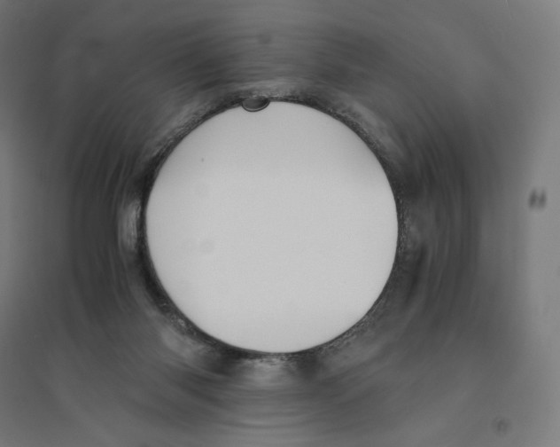 X0000094430118200712061122