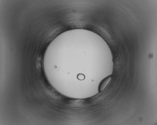 X0000094430122200712061122