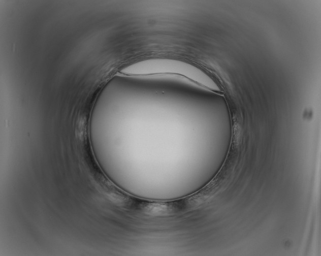 X0000094430123200712061122