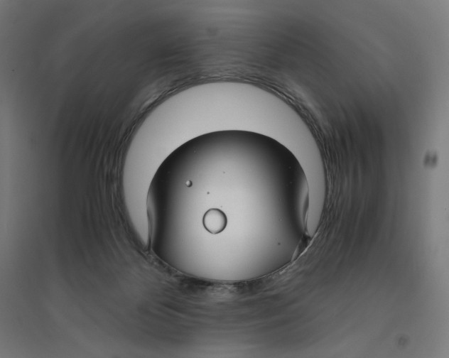 X0000094430124200712061122