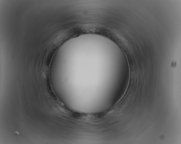 X0000094430125200712061122