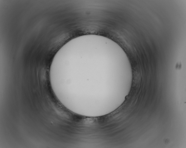 X0000094430126200712061122