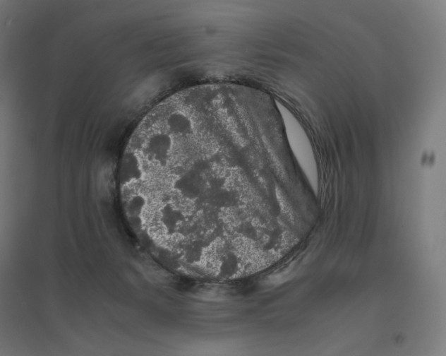 X0000094430127200712061122