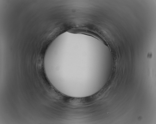 X0000094430129200712061122