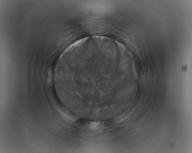 X0000094430130200712061122