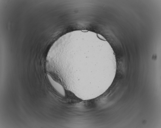 X0000094430131200712061122