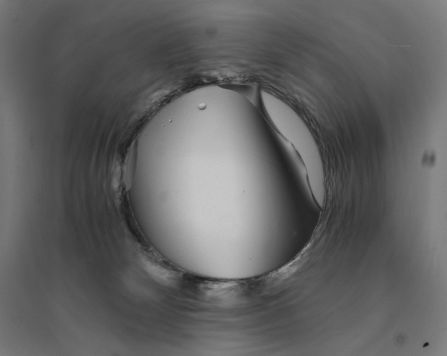 X0000094430132200712061122