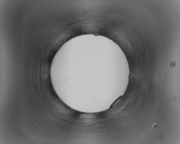 X0000094430133200712061122