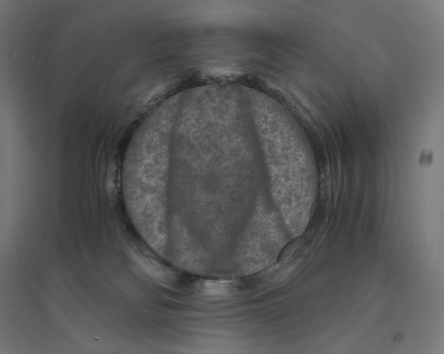 X0000094430134200712061122