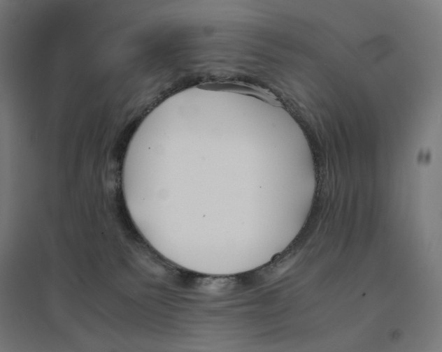 X0000094430135200712061122