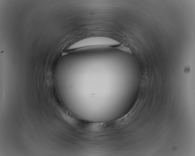 X0000094430136200712061122