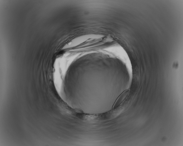 X0000094430139200712061122