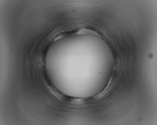 X0000094430140200712061122