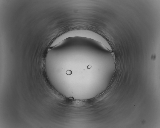 X0000094430141200712061122