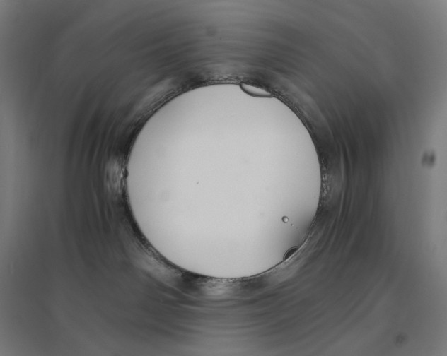 X0000094430142200712061122