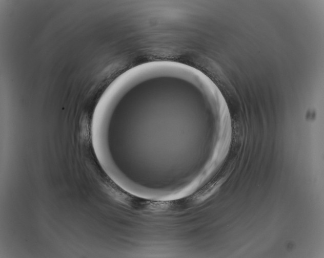 X0000094430143200712061122