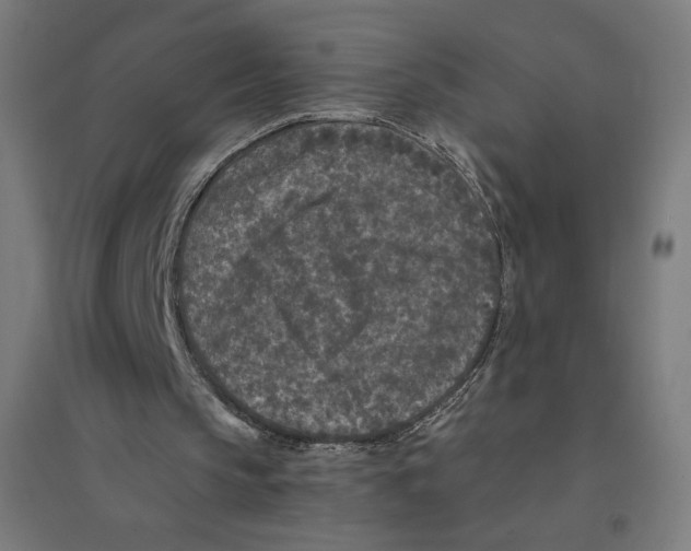 X0000094430145200712061121