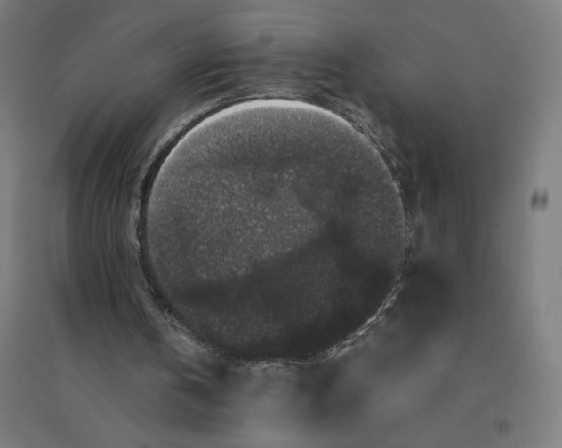 X0000094430146200712061121