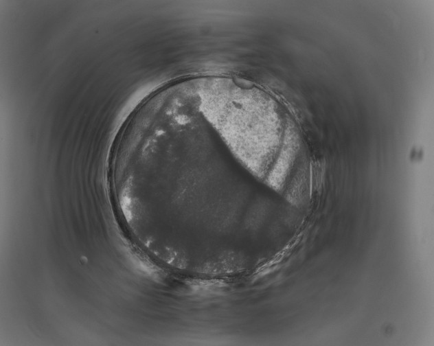 X0000094430147200712061121