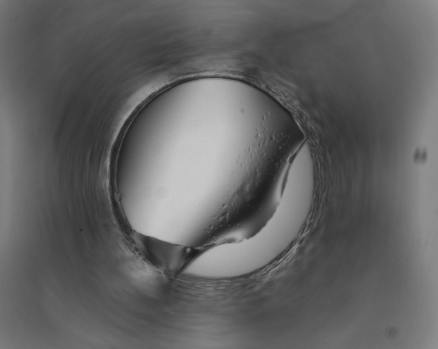 X0000094430148200712061121