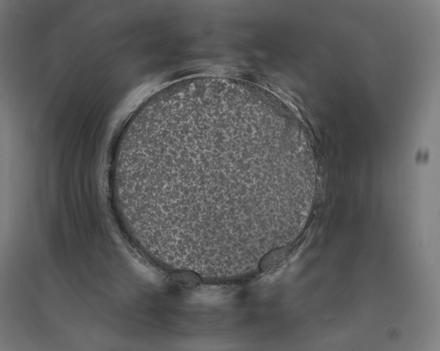 X0000094430149200712061121