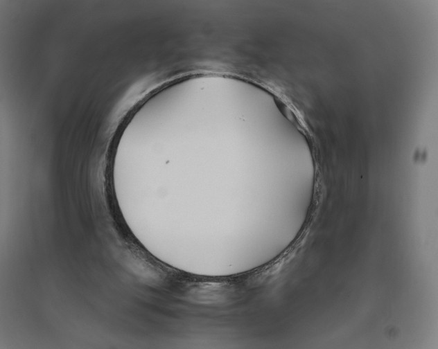 X0000094430151200712061121