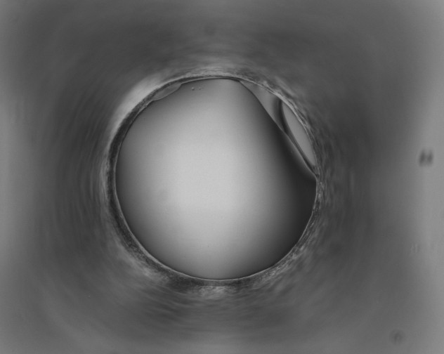 X0000094430152200712061121