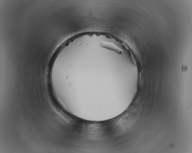 X0000094430156200712061121