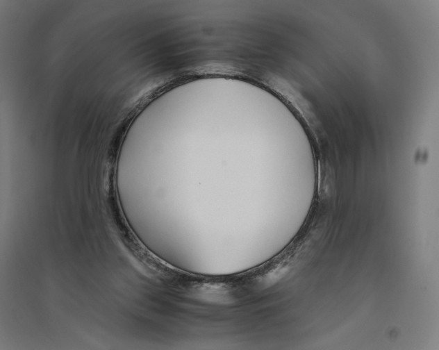 X0000094430157200712061121