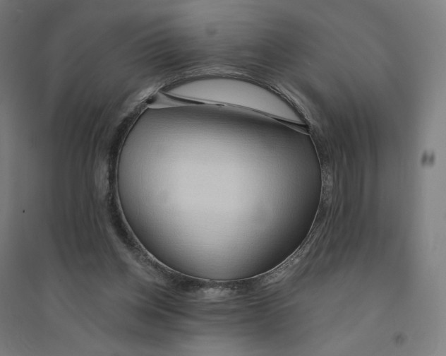 X0000094430158200712061121