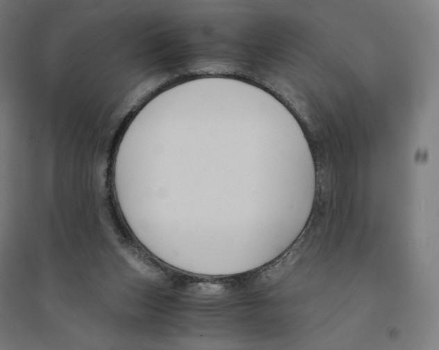 X0000094430159200712061121