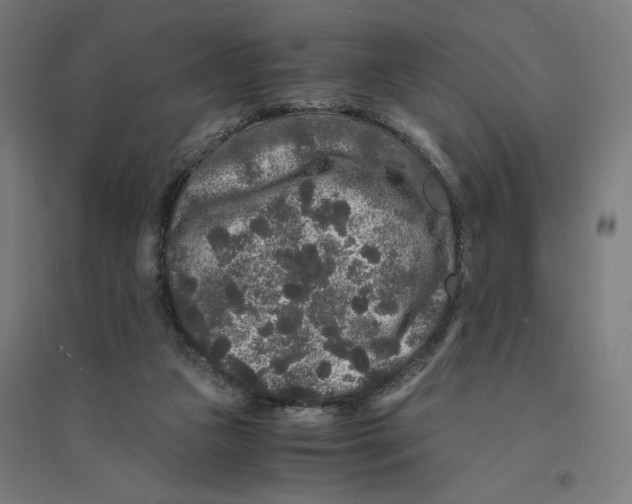 X0000094430161200712061122