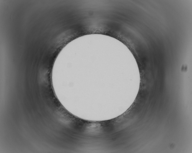 X0000094430162200712061122