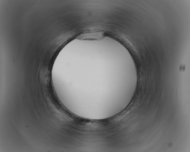 X0000094430164200712061122