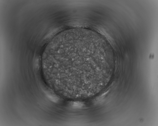 X0000094430165200712061122