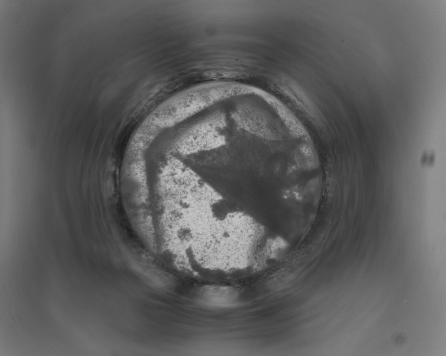 X0000094430169200712061122