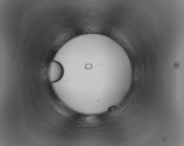 X0000094430173200712061122