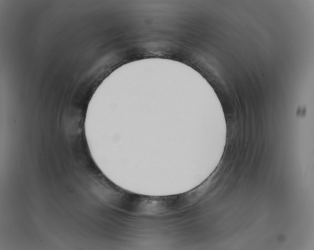 X0000094430174200712061122