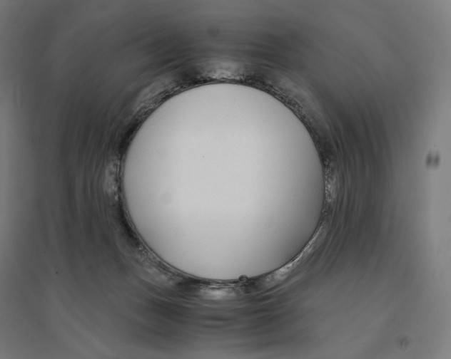 X0000094430175200712061122