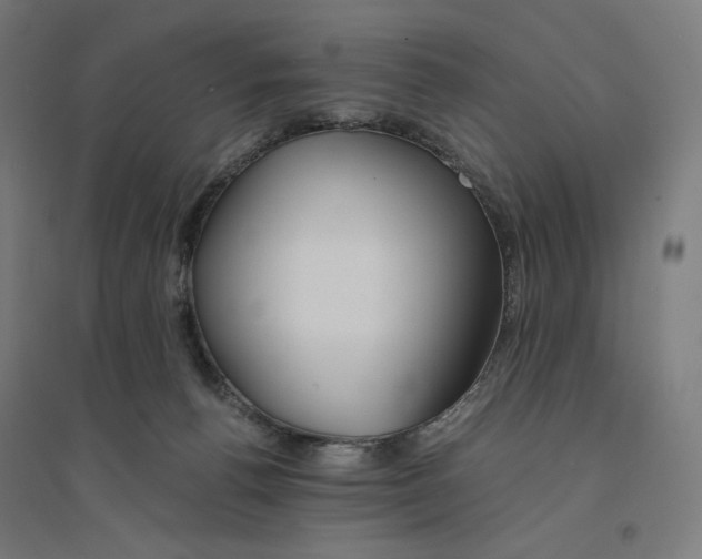 X0000094430176200712061122