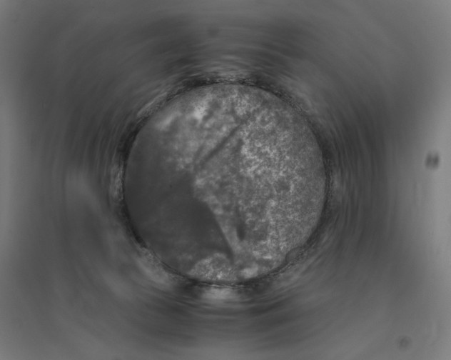 X0000094430177200712061122